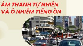 Âm thanh tự nhiên và ô nhiễm tiếng ồn ảnh hưởng đến đời sống thế nào?