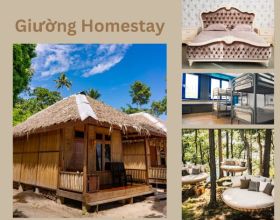 Giường ngủ homestay: Các loại giường đặc biệt và giường thông thường