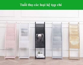 Đánh giá độ bền, tuổi thọ các loại kệ tạp chí