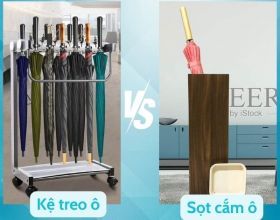 Kệ treo ô và sọt cắm ô: Loại nào phù hợp cho việc bảo quản ô dù?