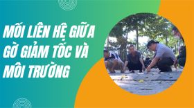 Mối liên hệ giữa gờ giảm tốc và môi trường ĐÁNG CHÚ Ý