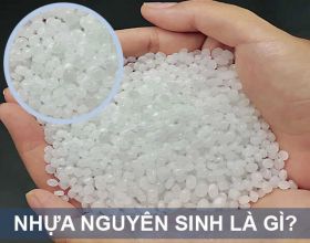 Nhựa nguyên sinh là gì? 8++ Loại nhựa nguyên sinh thường gặp