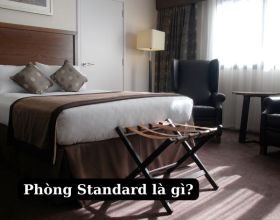 Phòng Standard là gì? Hạng phòng Standard khách sạn có thoải mái không?