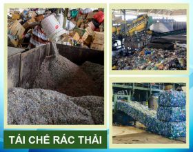 Tái chế rác thải là gì? Những loại rác nào có thể tái chế?