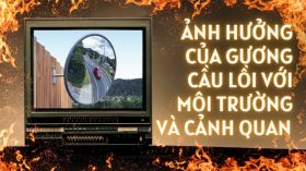 Ảnh hưởng của gương cầu lồi đối với môi trường và cảnh quan đô thị