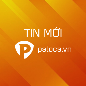 Tin Tức