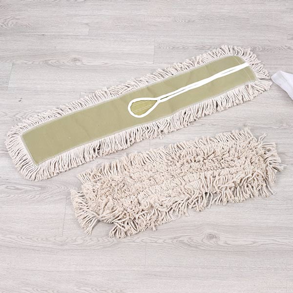 Mặt trước và mặt sau của bông lau