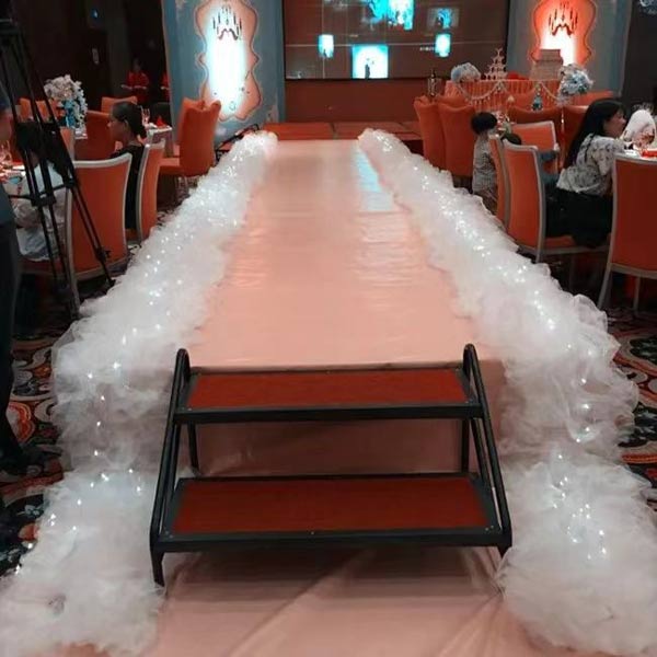 Hình ảnh thực tế sử dụng bậc thang 2 bậc