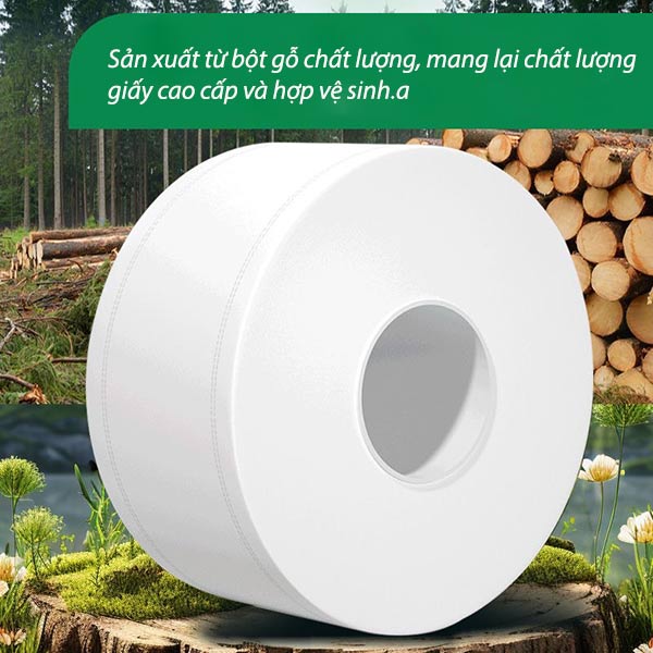 Giấy được làm từ bột gỗ mịn, an toàn