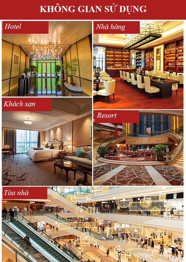 Mẫu xe đẩy hành lý cỡ lớn chuyên dùng tại không gian sang trọng