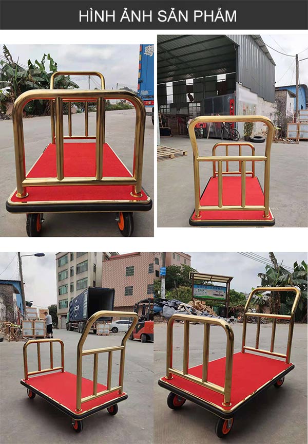Cận cảnh hình ảnh chụp xe đẩy hành lý kiểu chữ U tại kho Paloca
