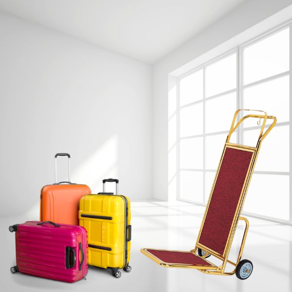 Xe đẩy vận chuyển hành lý cỡ nhỏ