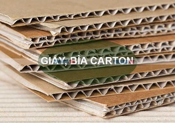 Tái chế giấy và bao bì carton giúp tiết kiệm tài nguyên rừng